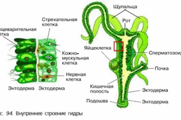 Купить наркотики томск