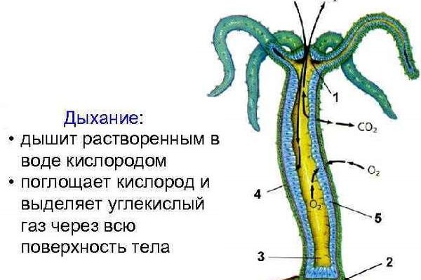 Hydra маркетплейс