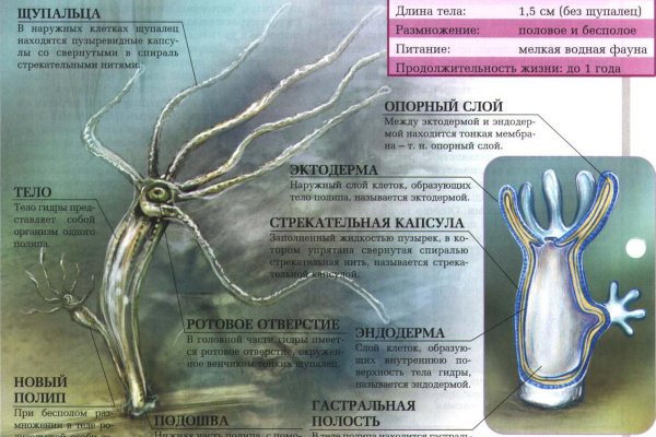 Кракен войти