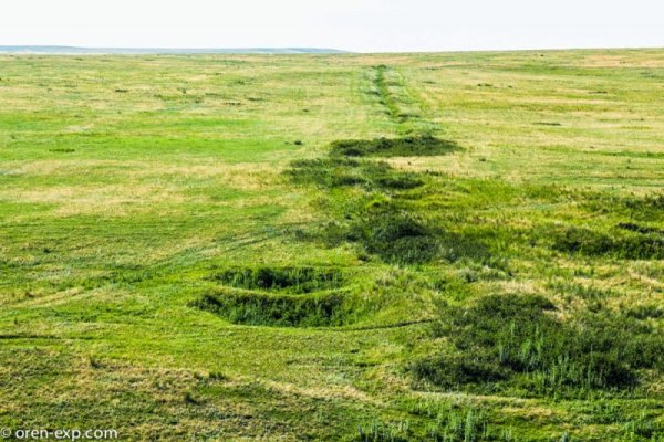 Кракен торговая площадка