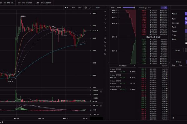 Kraken market3