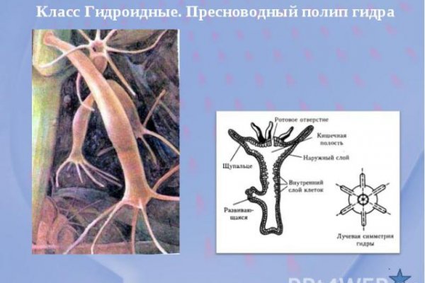 Актуальная ссылка на кракен