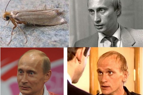 Главная страница кракен